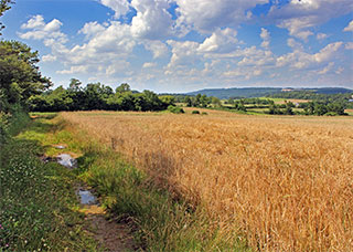 Leitarten, Foto: Copyright: VDN/Erich Tomschi