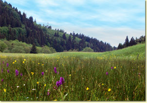 Biodiversität im Naturpark Frankenwald