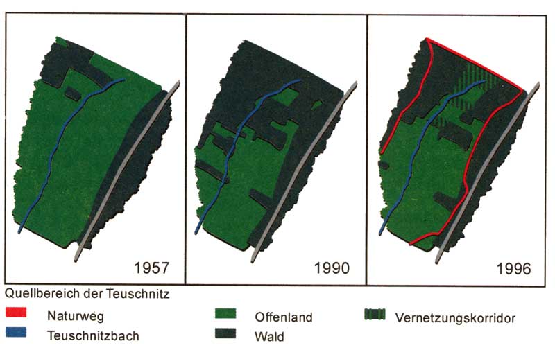 Entwicklung des Fichtenbestandes im Oberlauf der Teuschnitz