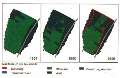 Grafik: Entwicklung des Fichtenbestandes im Oberlauf der Teuschnitz