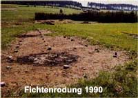 Bild: Fichtenrodung in der Teuschnitz-Aue